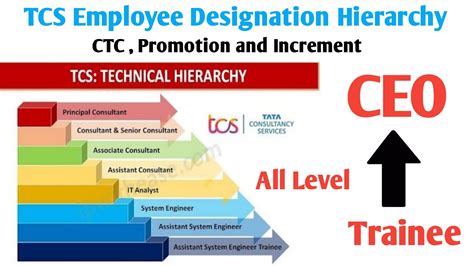 The technical positions or hierarchy ends with the Director (also known as technical Director). . Tcs designation hierarchy with experience